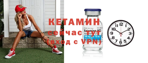 соль ск Инсар