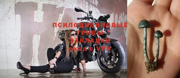 соль ск Инсар