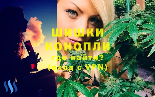 спиды Инта