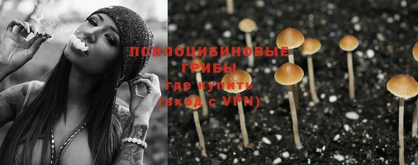 мдпв Зеленокумск